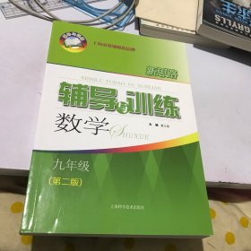 新思路辅导与训练 数学 九年级（第二版）