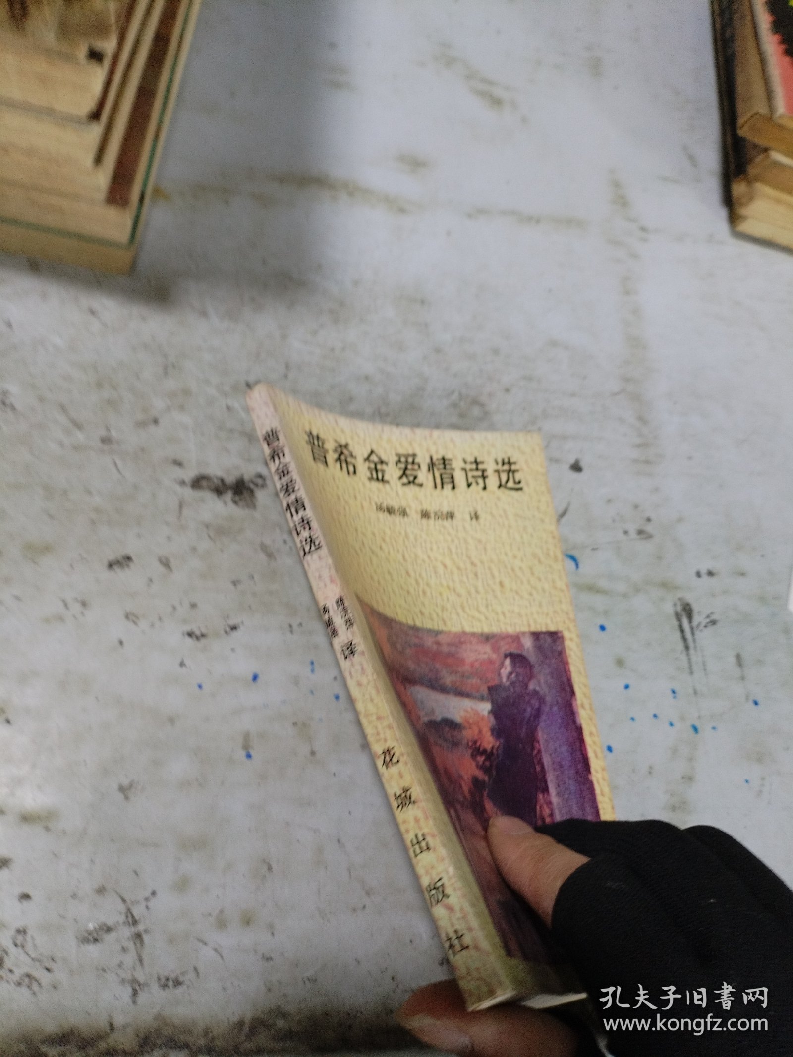 普希金爱情诗选