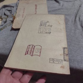 新唐书南诏传笺证