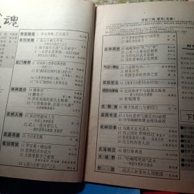 武魂杂志 1994 11 1994年第11期 不缺页品差 心意拳经典套路 四把上 道门邋遢派功法精华 太极八卦掌 中 八卦掌的神形八桩 下 意拳的活步试力 八仙颐寿功 一 太极拳自由推手的连环打法一