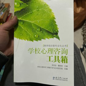 教师培训者专业化丛书：学校心理咨询工具箱