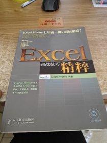 Excel实战技巧精粹 无盘