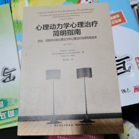 万千心理·心理动力学心理治疗简明指南：短程、间断和长程心理动力学心理治疗的原则和技术：第三版