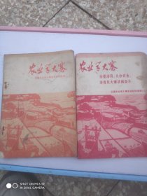 农业学大寨