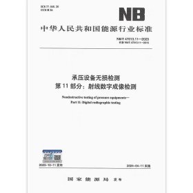2024年新版 NB/T 47013.11-2023 承压设备无损检测 第11部分：射线数字成像检测