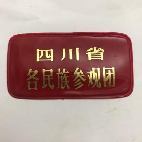 四川省各民族参观团（1966-1976）