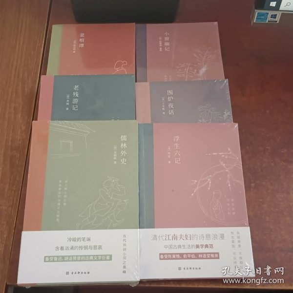 儒林外史：现实主义长篇讽刺小说的高峰