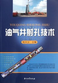 油氣井射孔技術(shù)