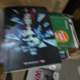 十宗罪 4：中国十大变态凶杀案