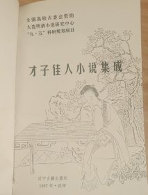 《才子佳人小说集成 5》劝戒类-空空幻、解颐类-蜃楼志、风月类-风月梦