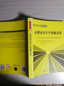 心理动力学个案概念化