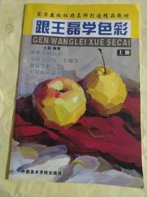 跟王磊学色彩