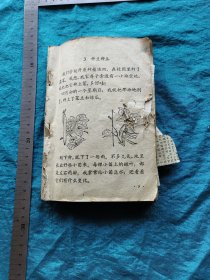 解放初语文课本夹着的多套鞋样子