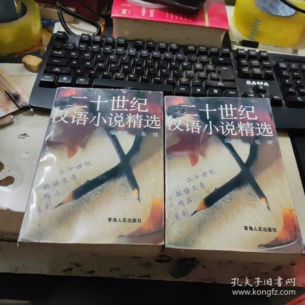 二十世纪汉语小说精选（上下册）