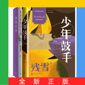 残雪：少年鼓手+西双版纳的女神+激情世界共3册
