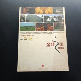 金磚之國.一部新興市場的成長傳奇 有光盤