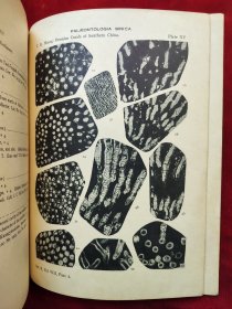 民国21年国立北平研究院<中国南部二叠纪珊瑚化石>道林纸印、中文简介、英文,有柯罗版大图16张,净重1公斤,稀见黄汲清院士著作