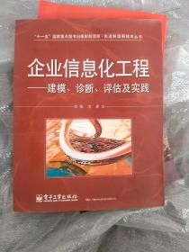 企业信息化工程：建模、诊断、评估及实践