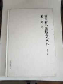 湖南省书法院艺术丛书 王集卷 精装