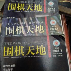 围棋天地  2006年第6期
