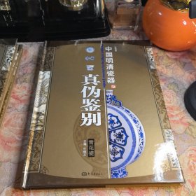 中国明清瓷器真伪鉴别