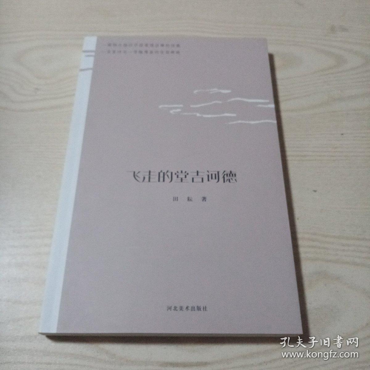 点击查看原图 飞走的堂吉诃德(签赠本)