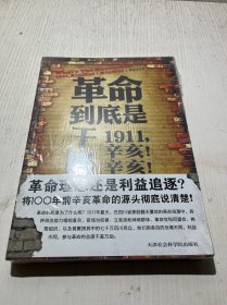 革命到底是干吗？：1911，辛亥！辛亥！