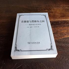 在康德与黑格尔之间：德国观念论讲座