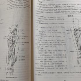 系统解剖学（第3版）