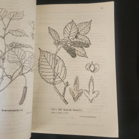 太原植物志.第一卷.(1990年初版仅印2000册)