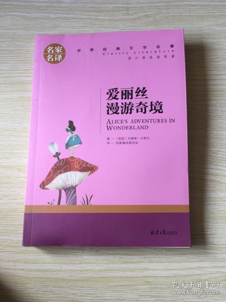 爱丽丝漫游奇境 中小学生课外阅读书籍世界经典文学名著青少年儿童文学读物故事书名家名译原汁原味读原著