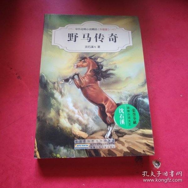 中外动物小说精品：野马传奇