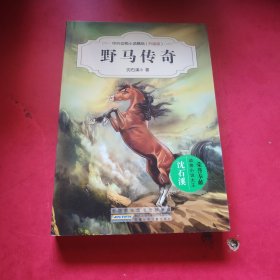 中外动物小说精品：野马传奇