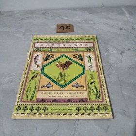 疯狂梦想家马格努斯：成为一条鱼