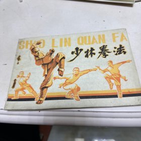 少林拳法