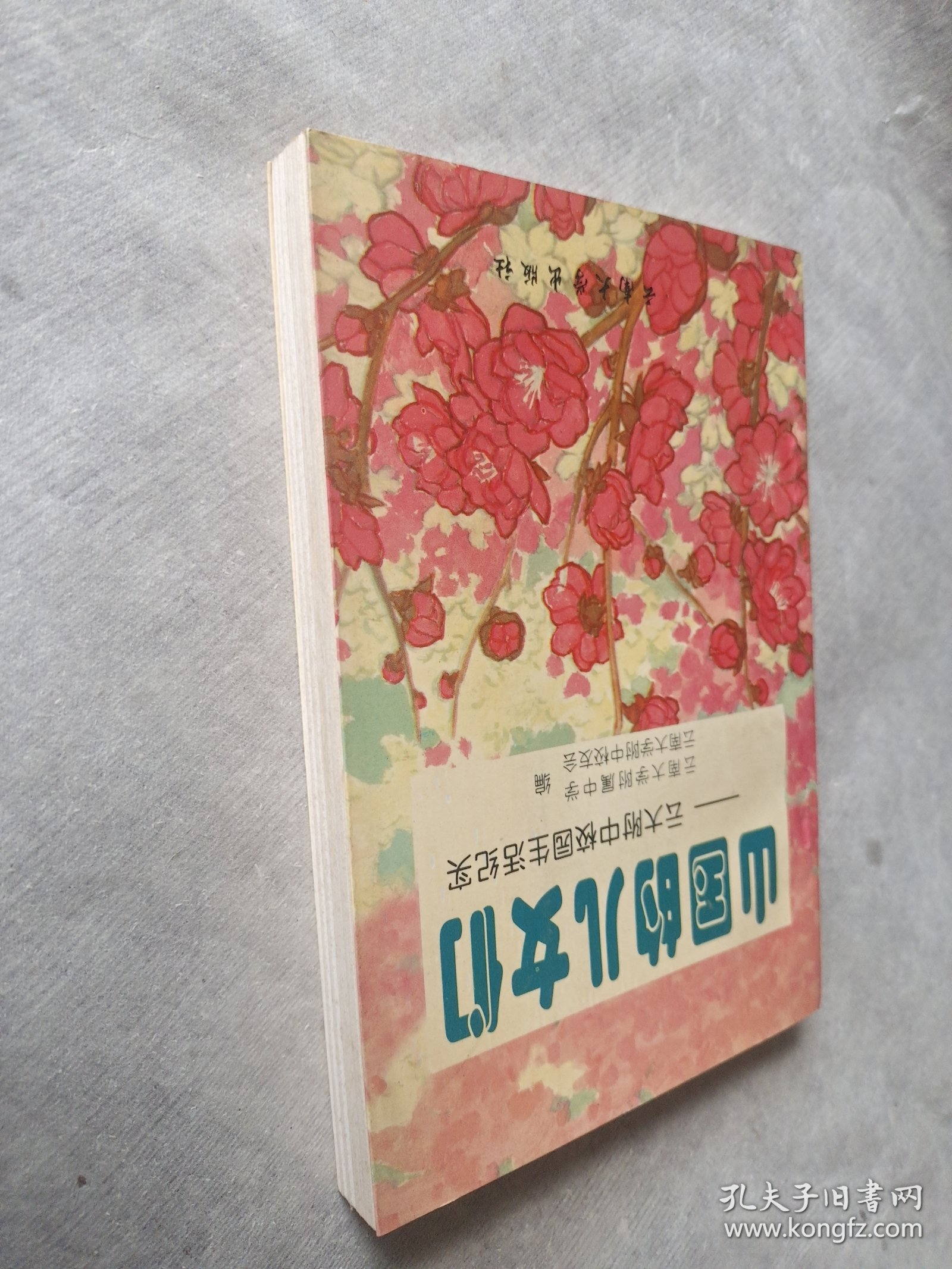 山国的儿女们:云大附中校园生活纪实