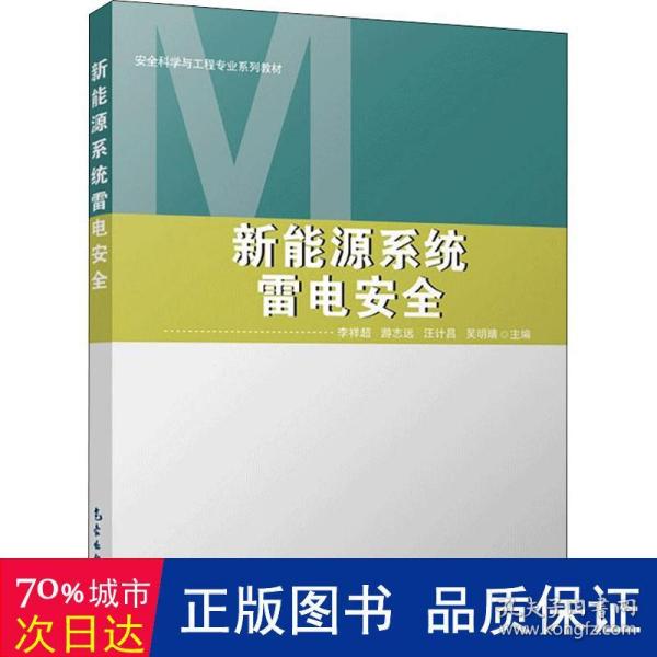 新能源系统雷电安全