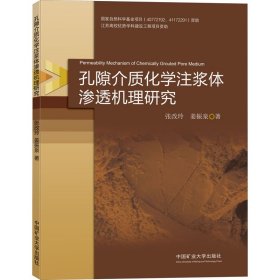 孔隙介质化学注浆体渗透机理研究