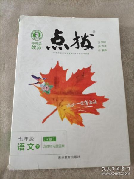 2021春点拨七年级下册语文RJ人教版特高级教师点拨初一7年级教材讲解同步练习同步训练