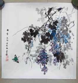 花鸟画，葡萄，淡季漏几幅作品，放放福利！秋香，写意画法，真人真迹，纯手绘，假一赔万，都是本人精心收藏的，中国书画家联谊会会员张清老师原创画作，实际画的比照片拍出来要漂亮的多。70×70公分的，四尺斗方的，家里客厅，卧室，茶室，书房，玄关，餐厅都可悬挂，裱起来非常漂亮的，三分画七分裱，闭眼入的一副作品。张清，字墨缘，中国书画家联谊会会员，作品多次参加省市各级书画大赛并获奖。