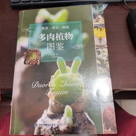 多肉植物图鉴