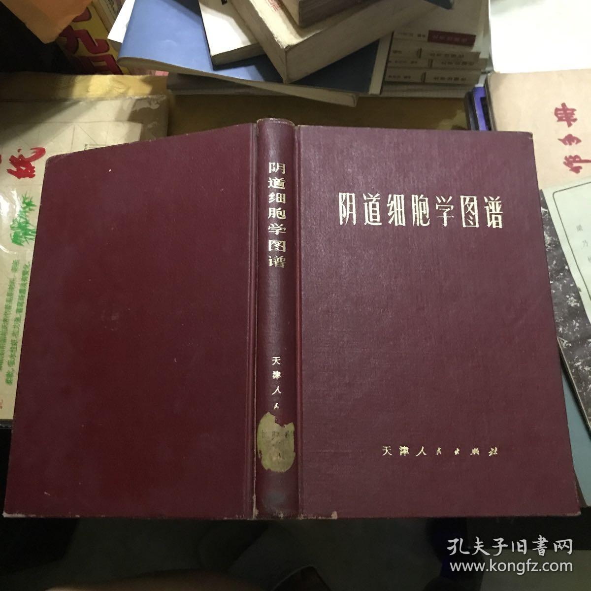 阴道细胞学图谱