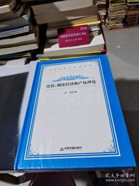 比较：制度经济和产权理论