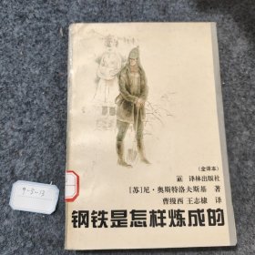 钢铁是怎样炼成的