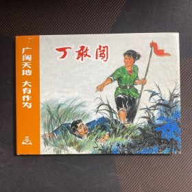 广阔天地大有作为系列：丁敢闯 （ 上美 32开 大精装 连环画）