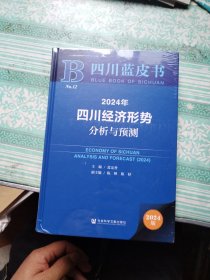 2024年四川经济形势分析与预测 未开封