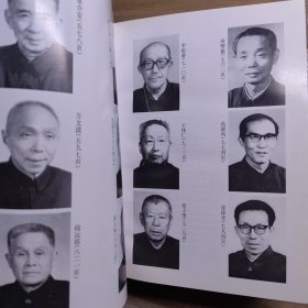 中国现代名中医 医案精华(五) 陕西河北湖南湖北四川广东上海中医。精装版。中医医案精华