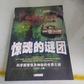 惊魂的谜团：科学探索怪异神秘的世界之谜（升级版）