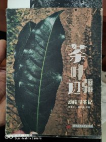 茶叶边疆