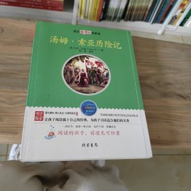 汤姆 索亚历险记：语文新课标名家选